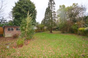 Photo 11- click for photo gallery